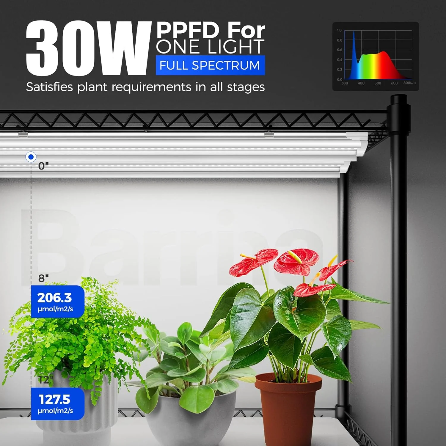 Barrina 4-Tier Plant Stand with 6-Pack T8 30W LED Grow Lights 3FT 5000K | Full Spectrum & Timer | QI30 - Image 3