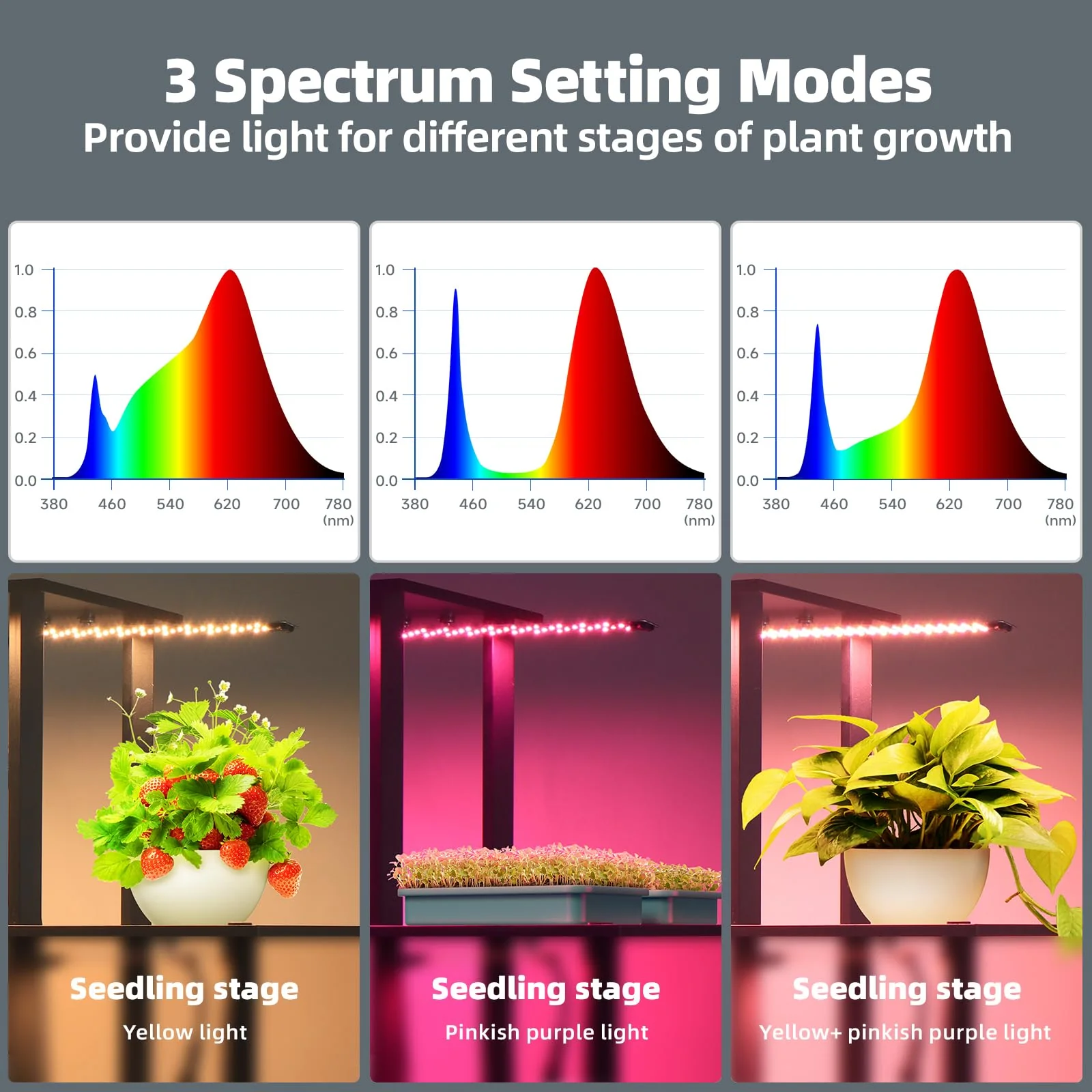 Barrina 5-Tier Plant Stand with 3-Pack 8W LED Grow Light Panels 3 Spectrums | Full Spectrum & Timer | DB08 - Image 6