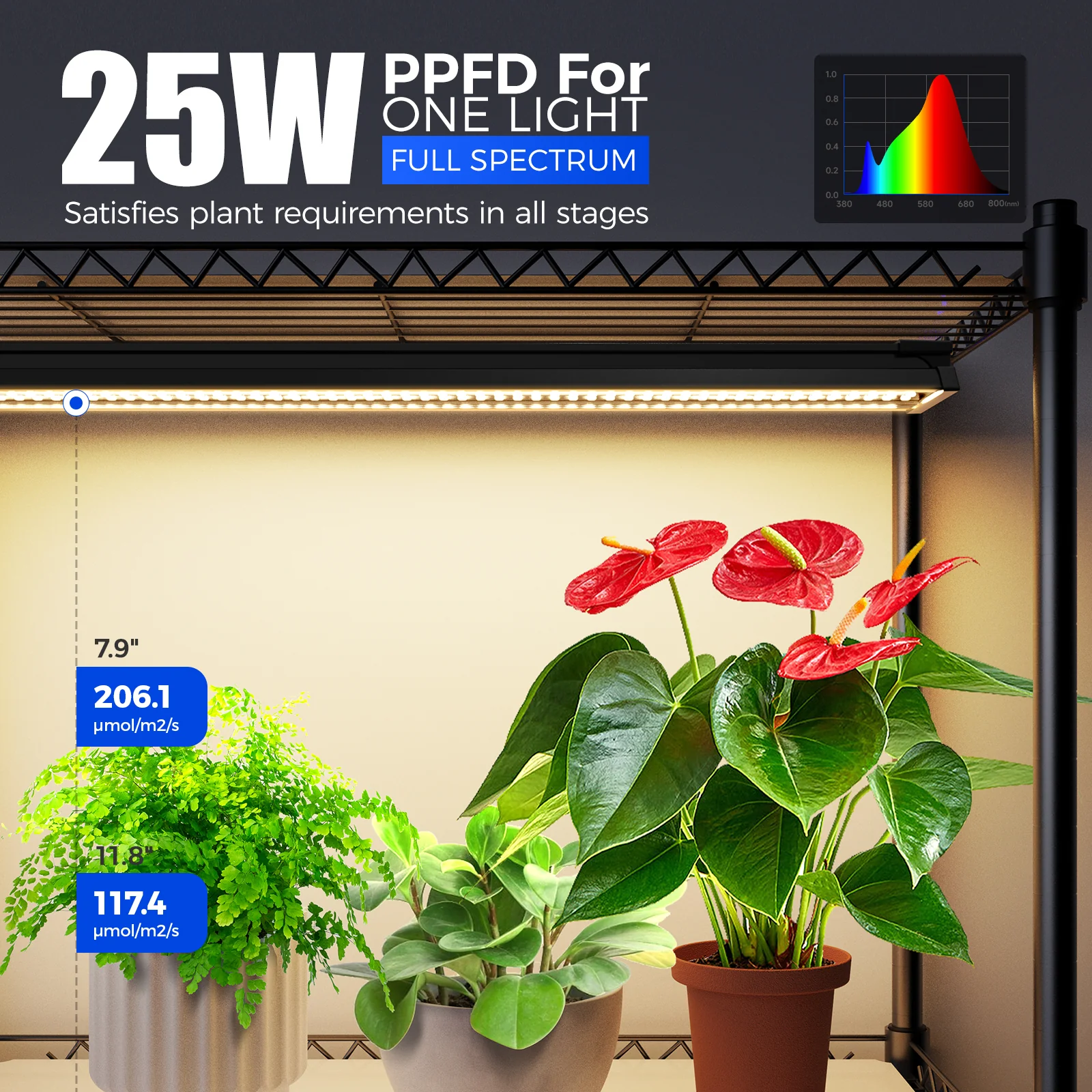 Barrina 5-Tier Plant Stand with 4-Pack 25W TX Series Grow Lights 1.6FT Yellow Light | Full Spectrum & Timer | CX91 - Image 4