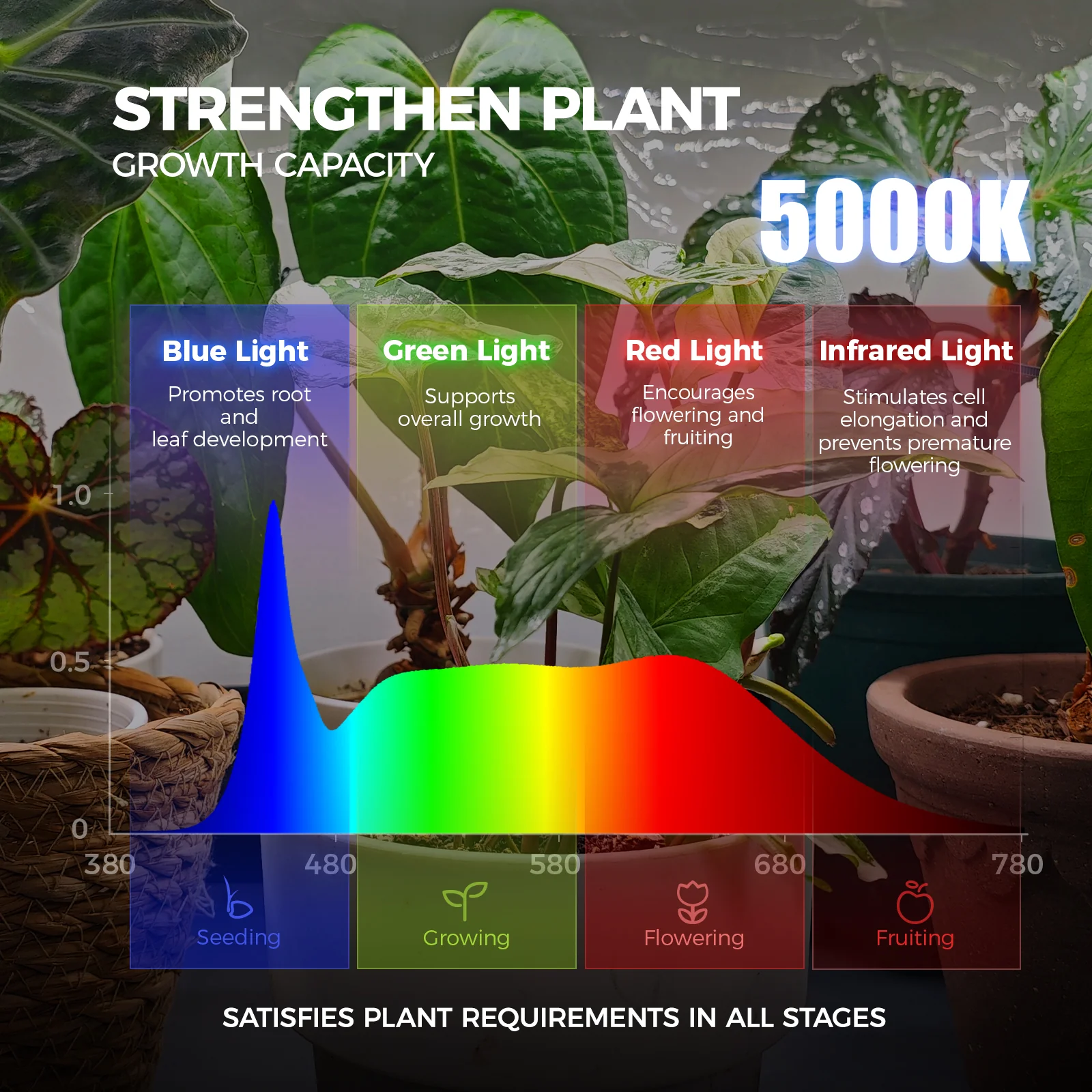 Barrina LP600 Greenhouse with 3-Pack 25W TX-S25 Grow Lights 1.6FT 5000K | Full Spectrum, Tent, Thermo-Hygrometer & Timer | LP600 - Image 5
