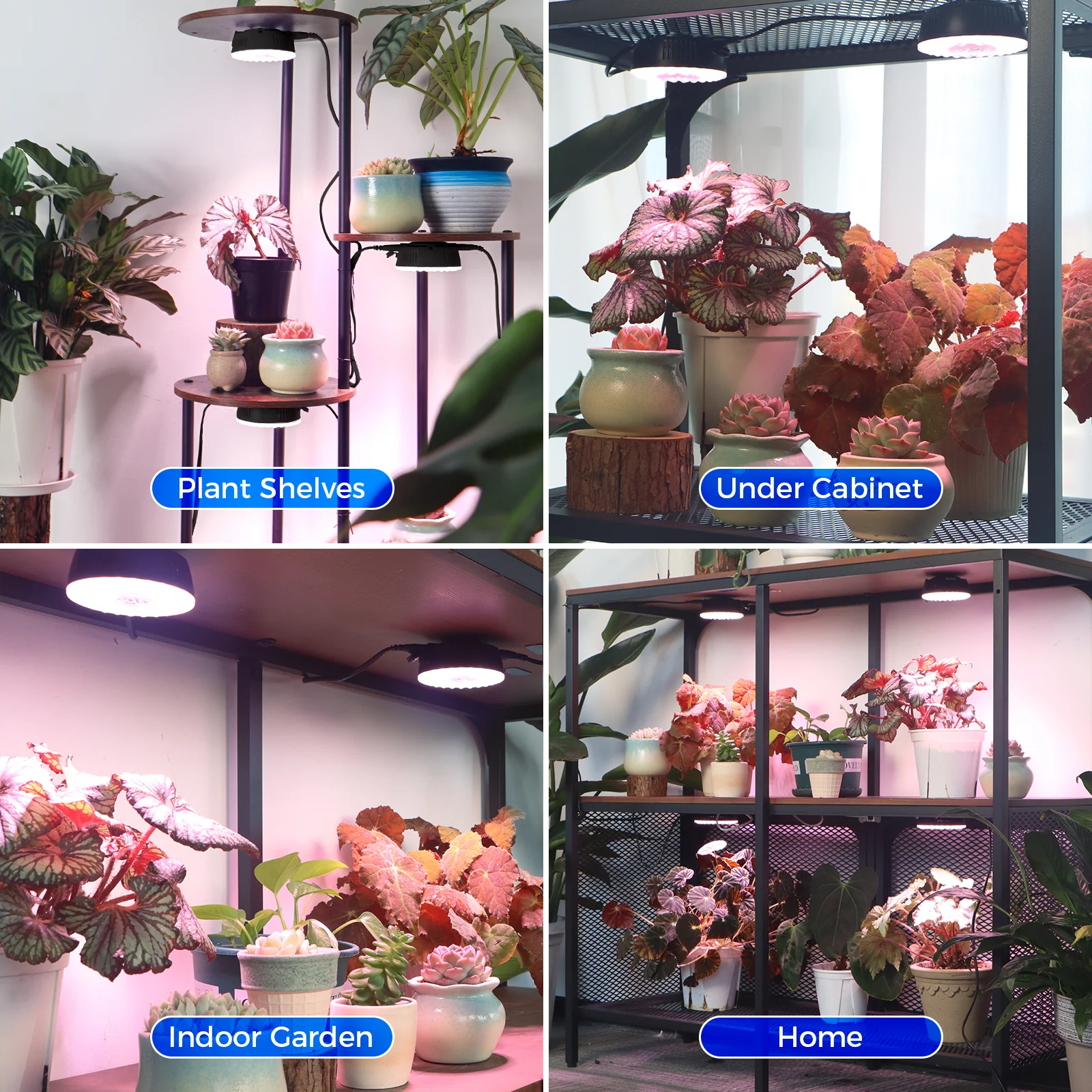 Barrina Orbgrow 9W LED Puck Grow Lights Pinkish White | Full Spectrum, Magnetic, Timer, Dimmable & Linkable | OG09 - Image 8
