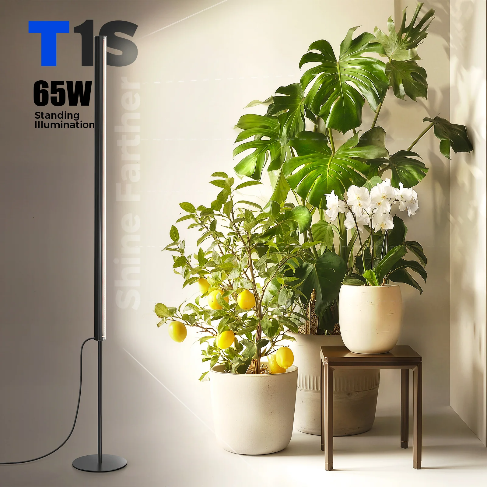 Barrina T1S 65W LED Standing Grow Light 5FT-5.6FT 3000K+6500K+660nm | Full Spectrum & Timer | K10R65 - Image 6