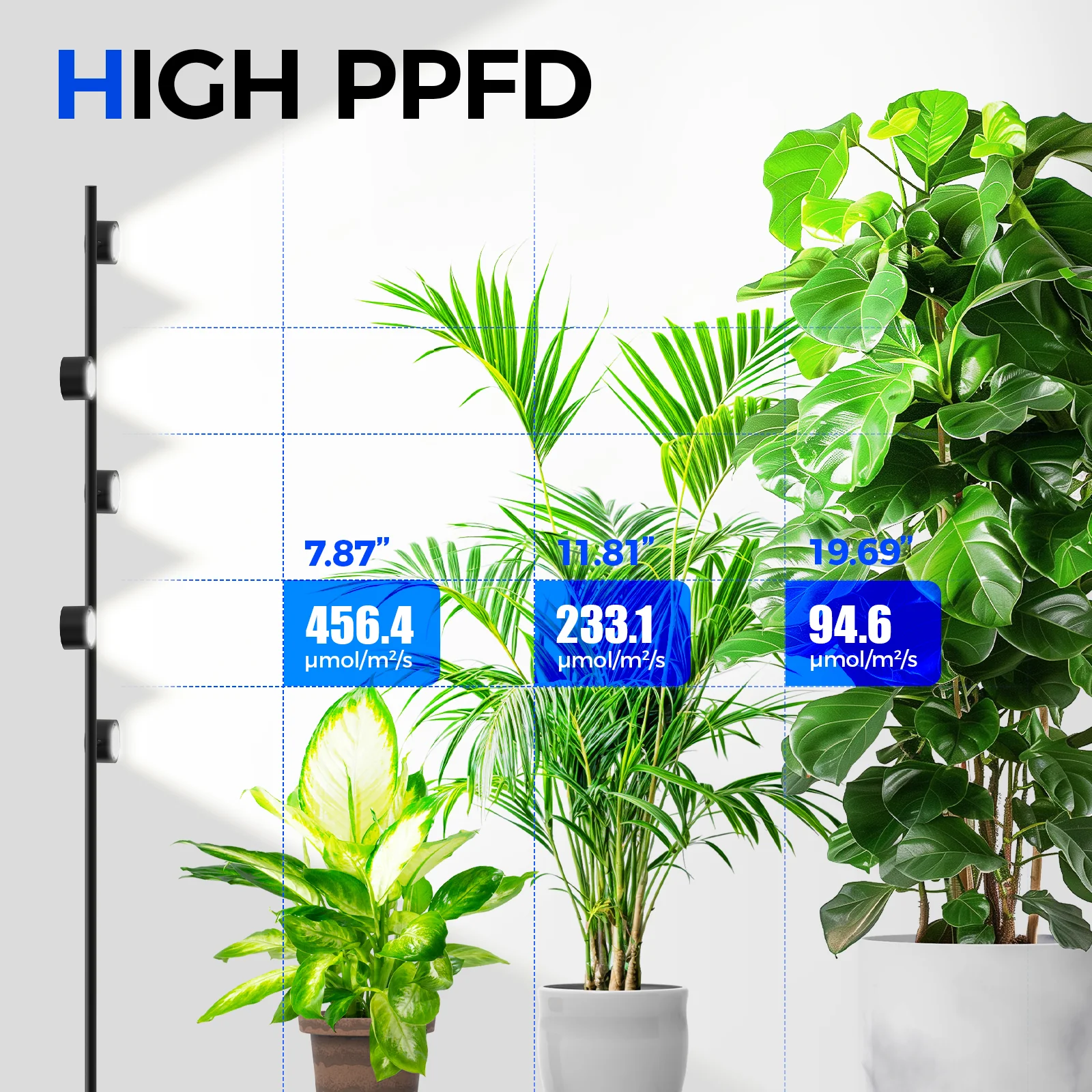 Barrina T1X5 50W LED Standing Grow Light 6FT 5000K | Full Spectrum & Adjustable 5 Heads | T1X5 - Image 3