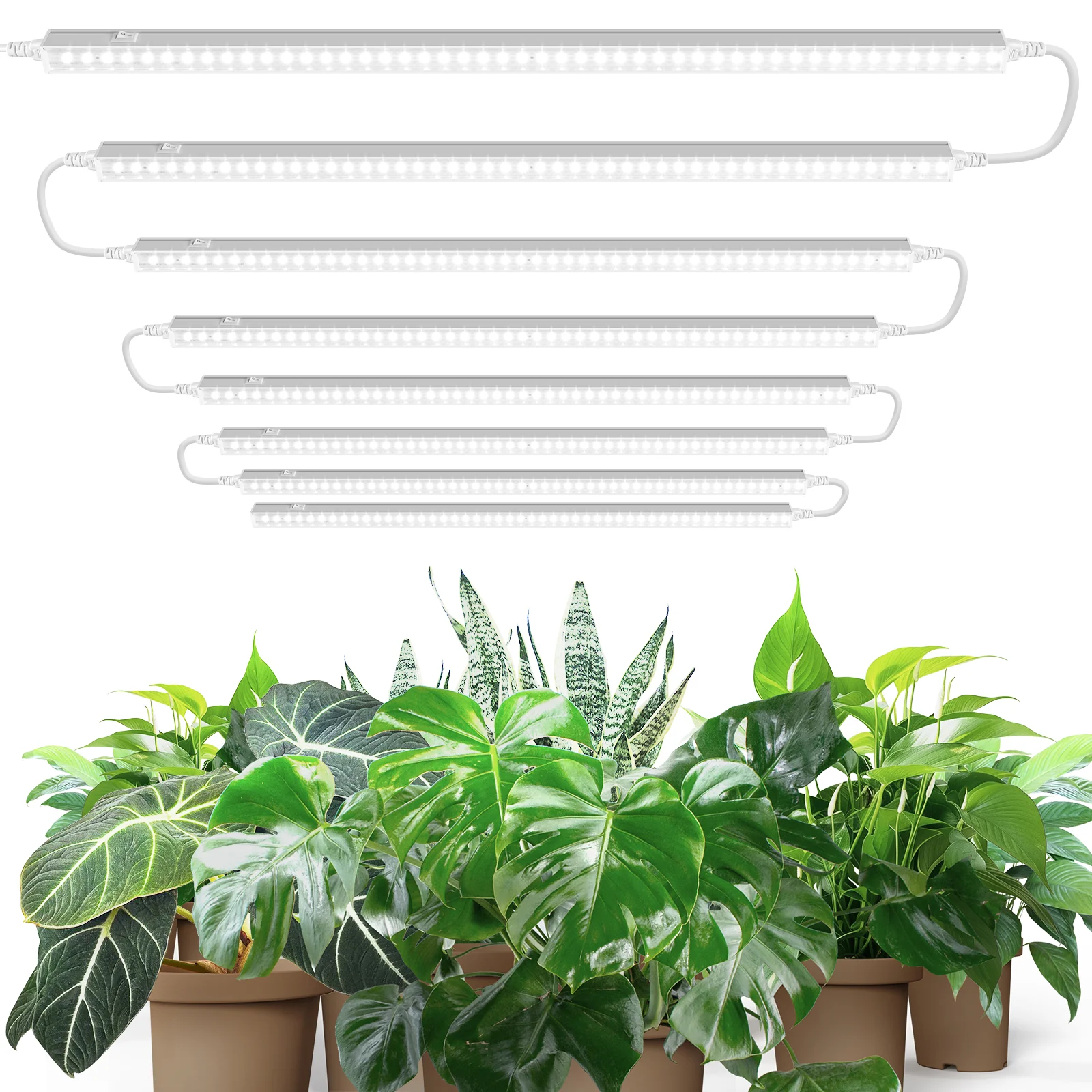 Barrina T5 10W LED Grow Lights 2FT 5000K | Full Spectrum & Linkable | MF10 - Image 13