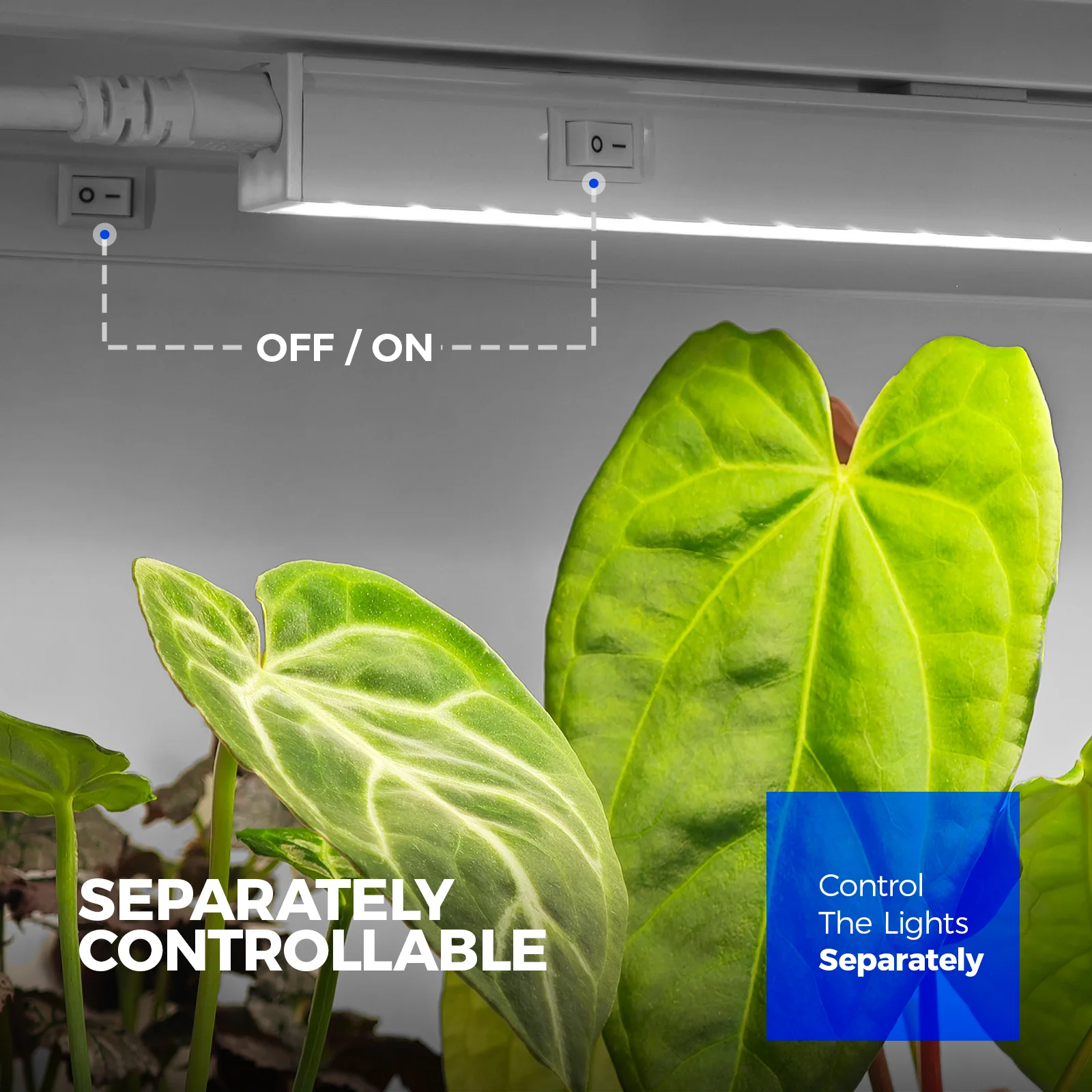 Barrina T5 10W LED Grow Lights 2FT 5000K | Full Spectrum & Linkable | MF10 - Image 3