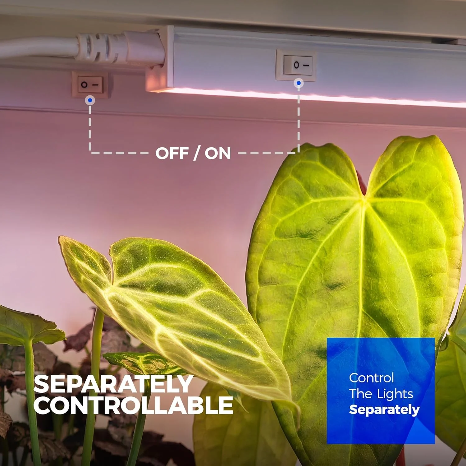 Barrina T5 20W LED Grow Lights 4FT Pinkish White | Full Spectrum & Linkable | ML20 - Image 5