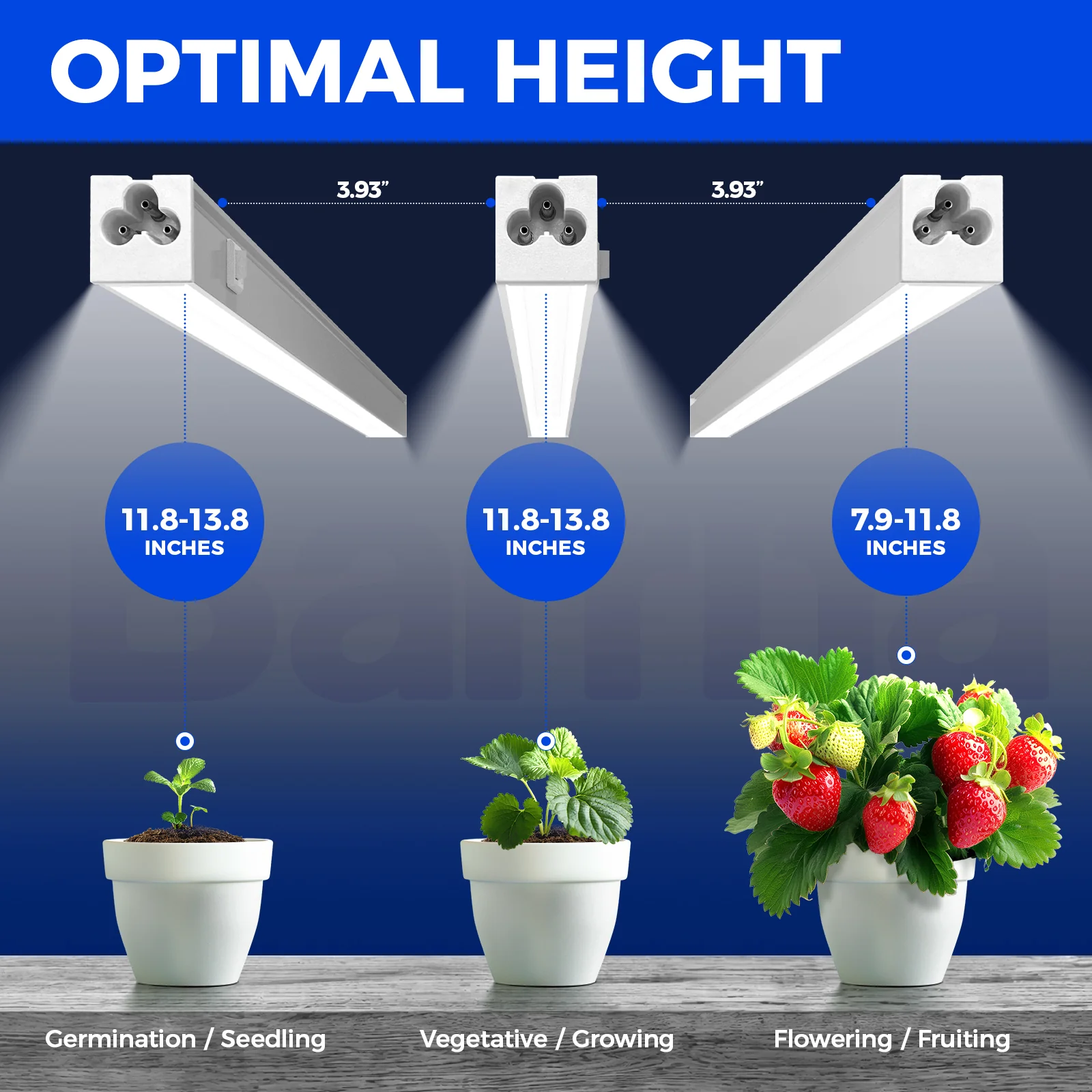Barrina T5 5W LED Grow Lights 1FT 5000K | Full Specturm & Linkable | MC05 - Image 3