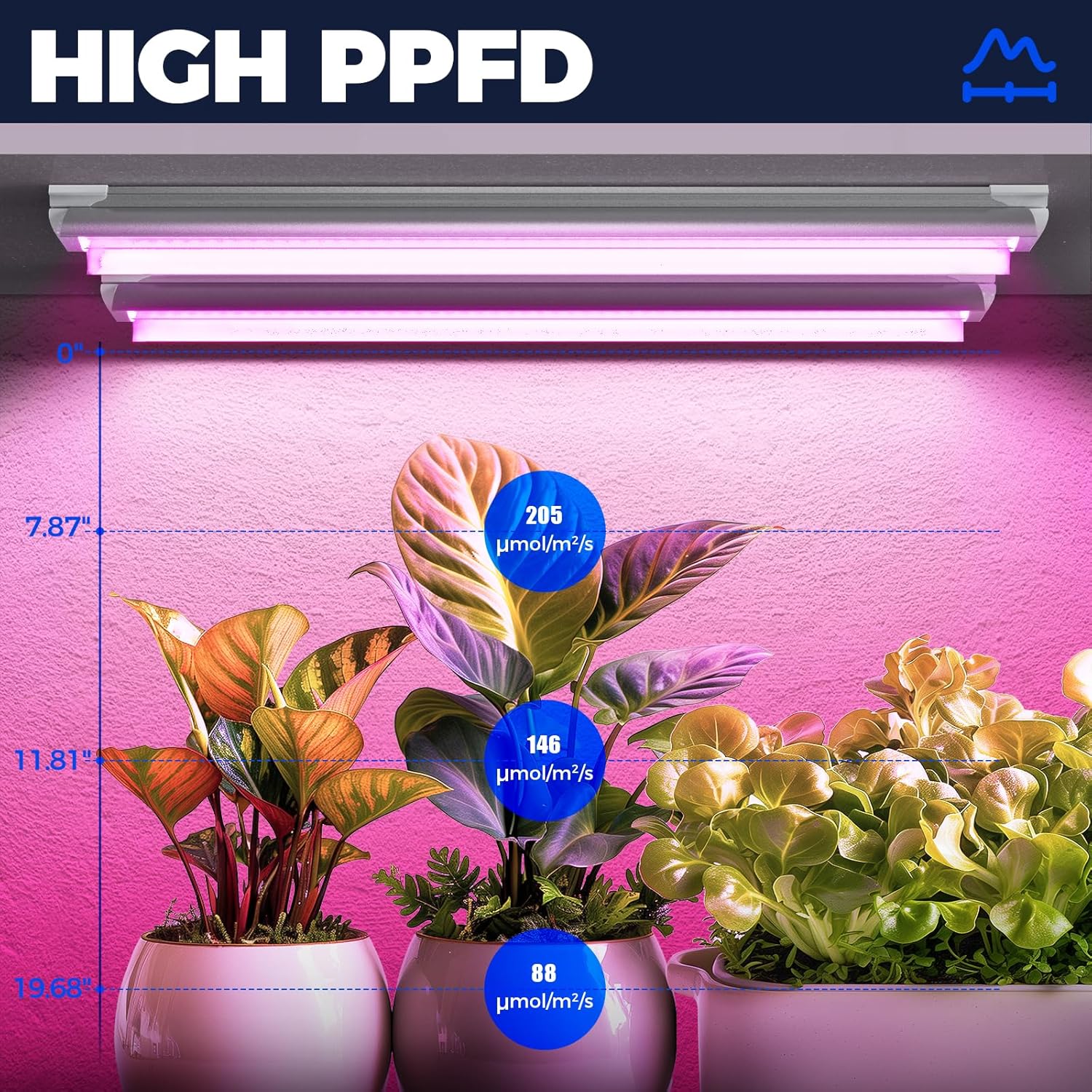 Barrina T8 24W LED Grow Lights 2FT Pink Light | Full Spectrum, Reflectors & Linkable | QF24 - Image 3
