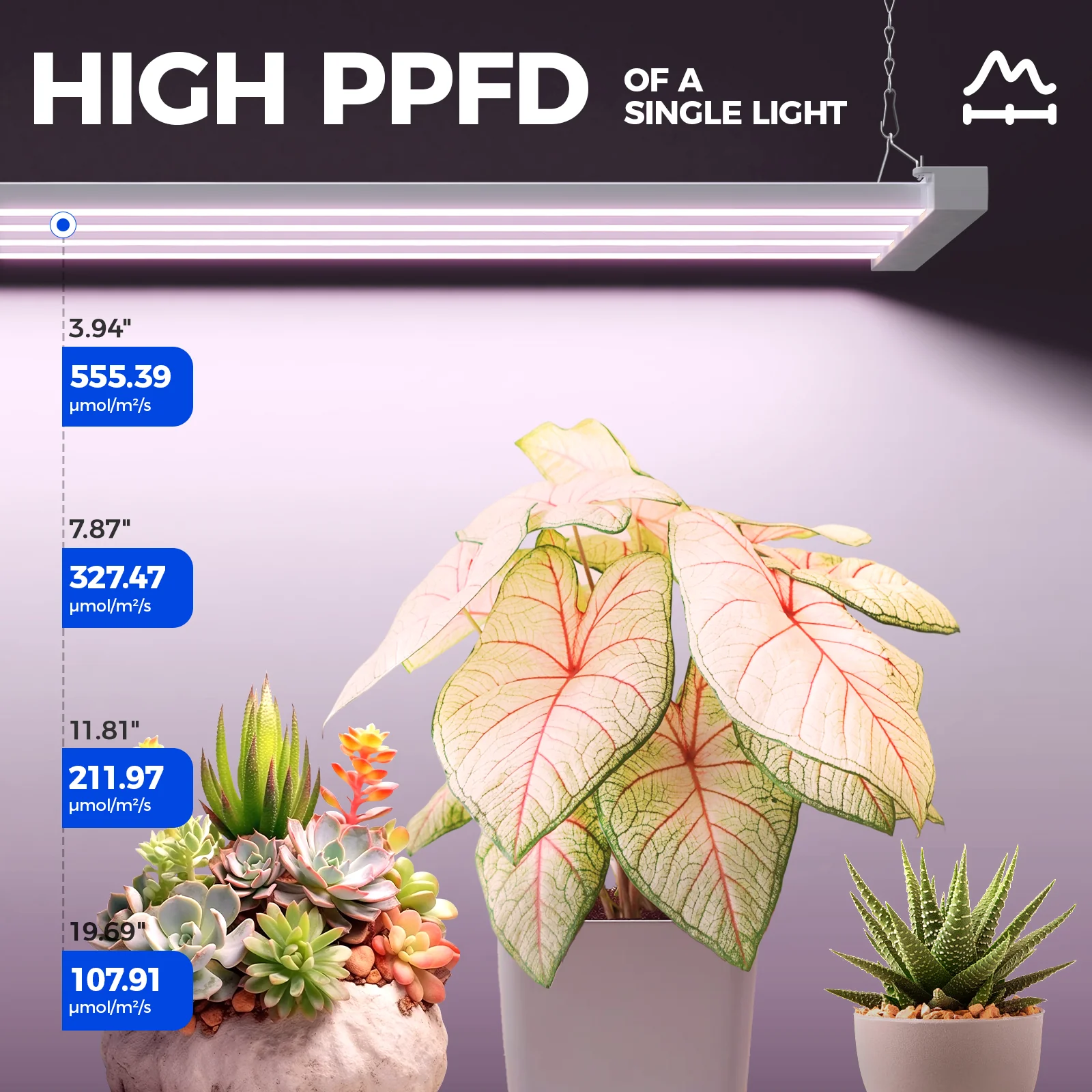 Barrina TX-L63 63W LED Grow Lights 3FT Pinkish White | Full Spectrum & Linkable | TX-L63 - Image 3