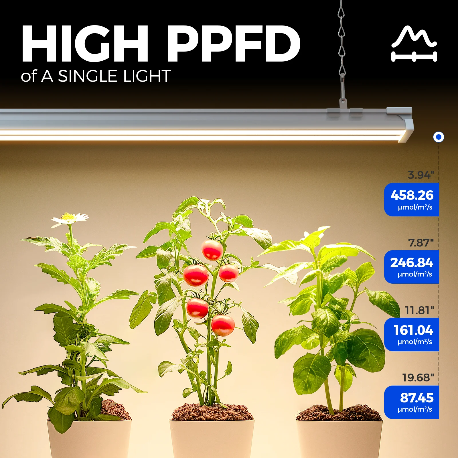 Barrina TX-S60 60W LED Grow Lights 4FT 3000K+6500K+660nm | Full Spectrum & Linkable | TX-S60 - Image 3