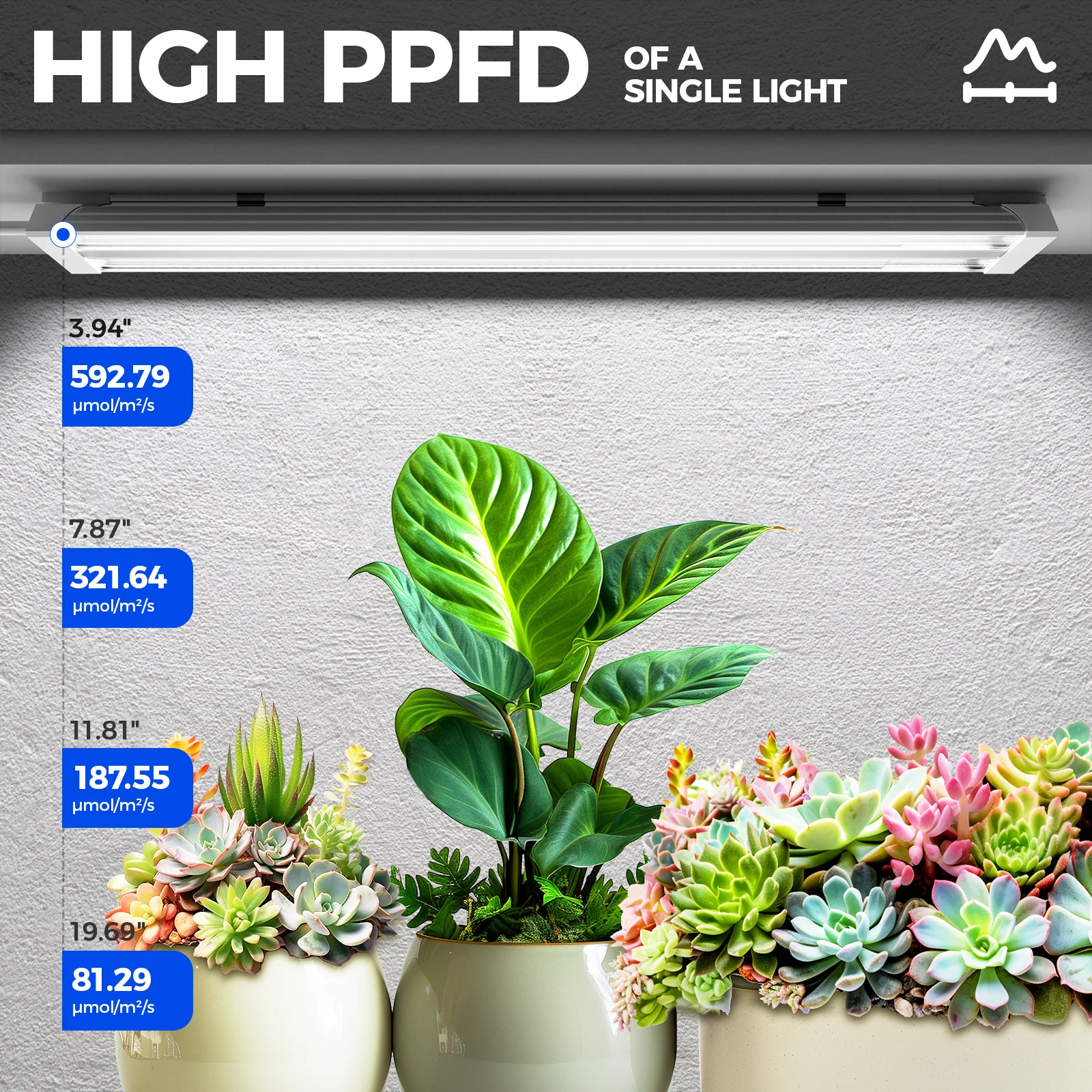 Barrina TX36 36W LED Grow Lights 2FT 5000K | Full Spectrum & Linkable | TXAL36 - Image 3